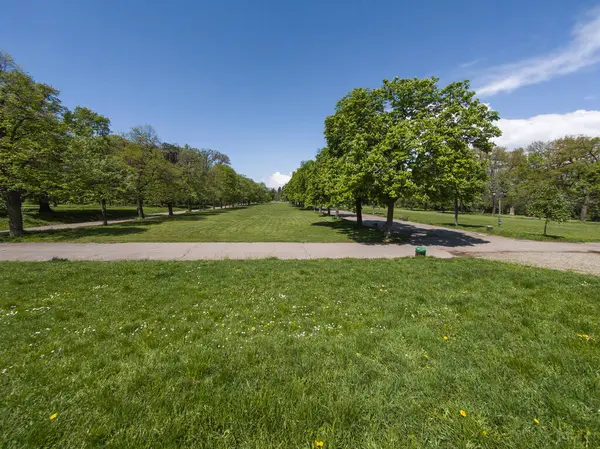 Bulgaristan 'ın Sofya kentindeki Borisova gradina (Boris Garden)' ın İnanılmaz Baharı