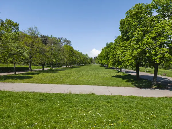Bulgaristan 'ın Sofya kentindeki Borisova gradina (Boris Garden)' ın İnanılmaz Baharı