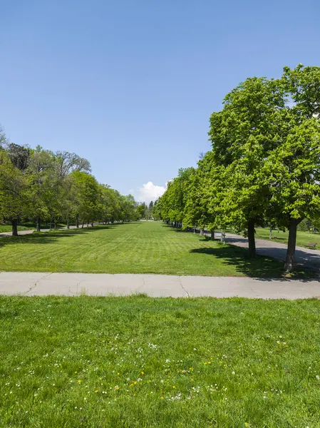 Bulgaristan 'ın Sofya kentindeki Borisova gradina (Boris Garden)' ın İnanılmaz Baharı