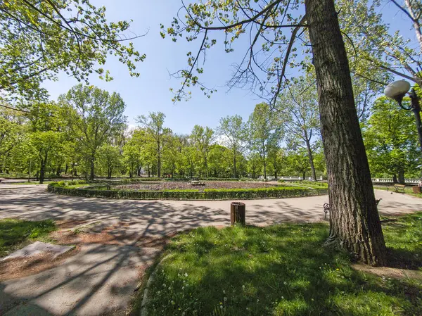 Bulgaristan 'ın Sofya kentindeki Borisova gradina (Boris Garden)' ın İnanılmaz Baharı