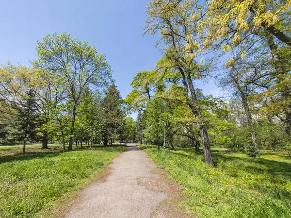 Bulgaristan 'ın Sofya kentindeki Borisova gradina (Boris Garden)' ın İnanılmaz Baharı