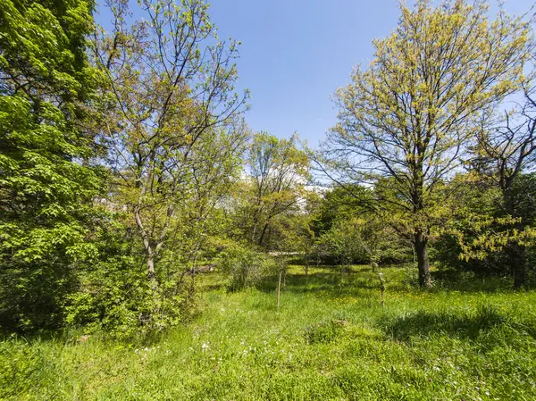 Bulgaristan 'ın Sofya kentindeki Borisova gradina (Boris Garden)' ın İnanılmaz Baharı