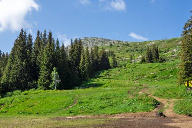 Bulgaristan 'ın Vitosha Dağı' nın Muhteşem Bahar Panoraması