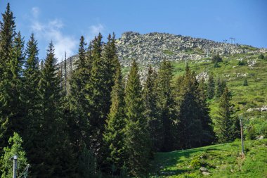 Bulgaristan 'ın Vitosha Dağı' nın Muhteşem Bahar Panoraması