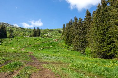 Bulgaristan 'ın Vitosha Dağı' nın Muhteşem Bahar Panoraması