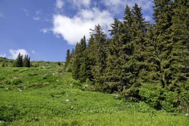 Bulgaristan 'ın Vitosha Dağı' nın Muhteşem Bahar Panoraması
