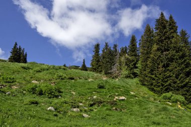 Bulgaristan 'ın Vitosha Dağı' nın Muhteşem Bahar Panoraması