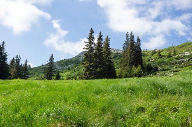 Bulgaristan 'ın Vitosha Dağı' nın Muhteşem Bahar Panoraması