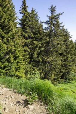 Bulgaristan 'ın Vitosha Dağı' nın Muhteşem Bahar Panoraması