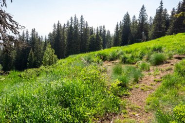 Bulgaristan 'ın Vitosha Dağı' nın Muhteşem Bahar Panoraması