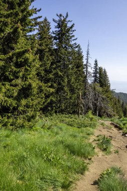 Bulgaristan 'ın Vitosha Dağı' nın Muhteşem Bahar Panoraması