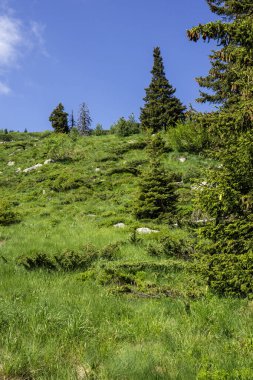 Bulgaristan 'ın Vitosha Dağı' nın Muhteşem Bahar Panoraması