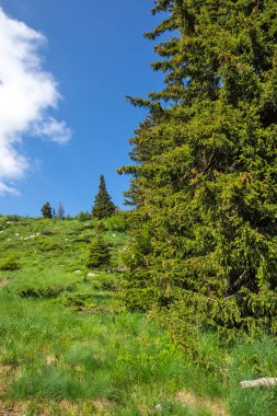 Bulgaristan 'ın Vitosha Dağı' nın Muhteşem Bahar Panoraması