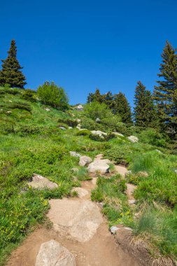 Bulgaristan 'ın Vitosha Dağı' nın Muhteşem Bahar Panoraması