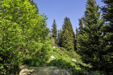 Bulgaristan 'ın Vitosha Dağı' nın Muhteşem Bahar Panoraması