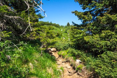 Bulgaristan 'ın Vitosha Dağı' nın Muhteşem Bahar Panoraması