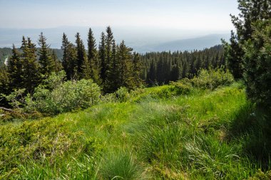Bulgaristan 'ın Vitosha Dağı' nın Muhteşem Bahar Panoraması