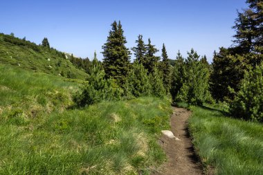 Bulgaristan 'ın Vitosha Dağı' nın Muhteşem Bahar Panoraması