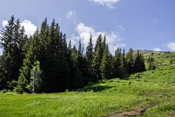 Bulgaristan 'ın Vitosha Dağı' nın Muhteşem Bahar Panoraması