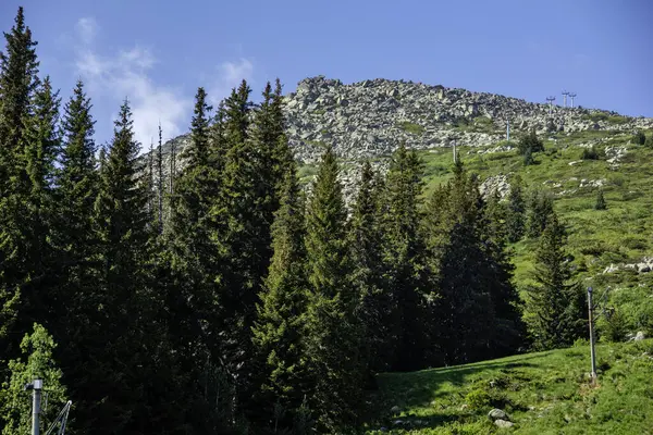 Bulgaristan 'ın Vitosha Dağı' nın Muhteşem Bahar Panoraması