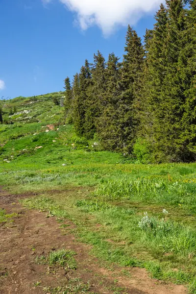 Bulgaristan 'ın Vitosha Dağı' nın Muhteşem Bahar Panoraması
