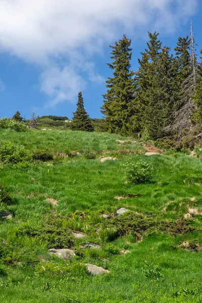 Bulgaristan 'ın Vitosha Dağı' nın Muhteşem Bahar Panoraması