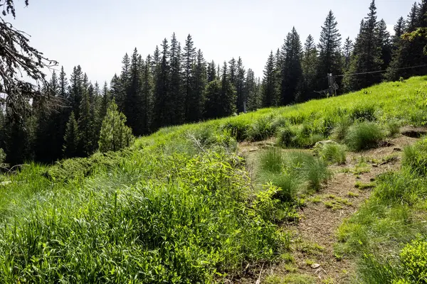 Bulgaristan 'ın Vitosha Dağı' nın Muhteşem Bahar Panoraması