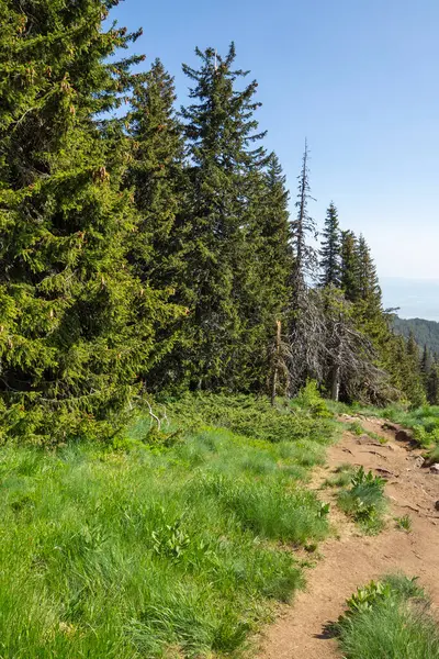 Bulgaristan 'ın Vitosha Dağı' nın Muhteşem Bahar Panoraması