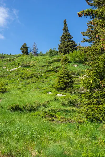 Bulgaristan 'ın Vitosha Dağı' nın Muhteşem Bahar Panoraması