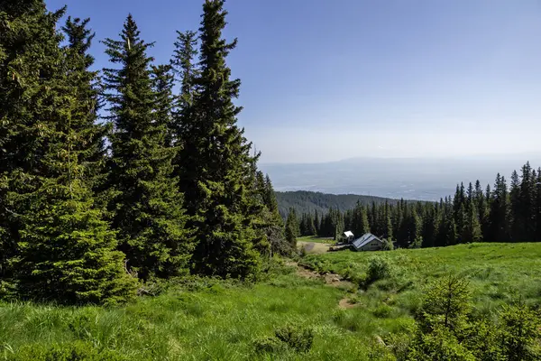 Bulgaristan 'ın Vitosha Dağı' nın Muhteşem Bahar Panoraması