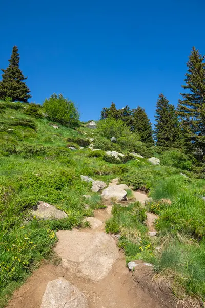 Bulgaristan 'ın Vitosha Dağı' nın Muhteşem Bahar Panoraması