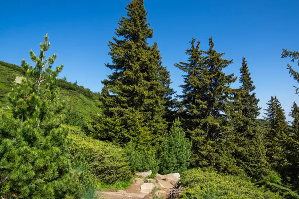 Bulgaristan 'ın Vitosha Dağı' nın Muhteşem Bahar Panoraması