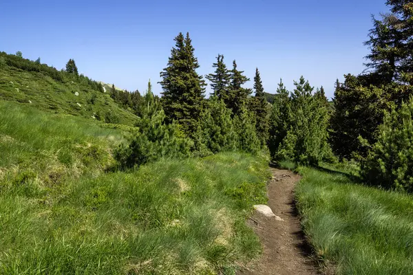 Bulgaristan 'ın Vitosha Dağı' nın Muhteşem Bahar Panoraması