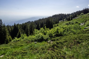 Bulgaristan 'ın Vitosha Dağı' nın Muhteşem Bahar Panoraması