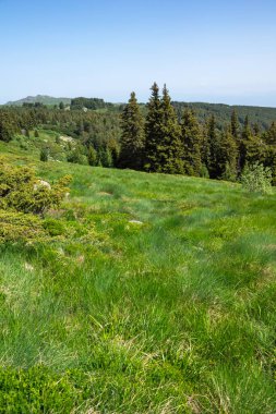 Bulgaristan 'ın Vitosha Dağı' nın Muhteşem Bahar Panoraması