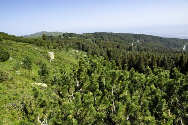 Bulgaristan 'ın Vitosha Dağı' nın Muhteşem Bahar Panoraması