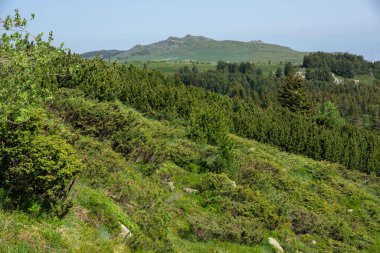Bulgaristan 'ın Vitosha Dağı' nın Muhteşem Bahar Panoraması