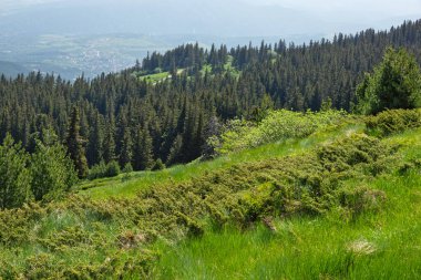 Bulgaristan 'ın Vitosha Dağı' nın Muhteşem Bahar Panoraması