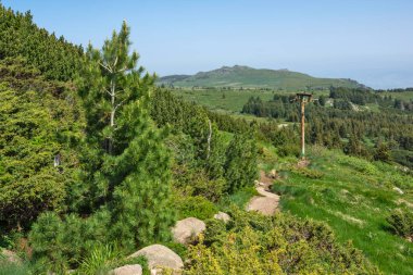 Bulgaristan 'ın Vitosha Dağı' nın Muhteşem Bahar Panoraması