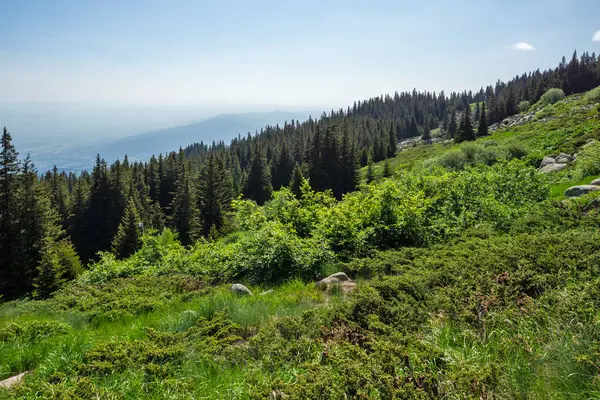 Bulgaristan 'ın Vitosha Dağı' nın Muhteşem Bahar Panoraması