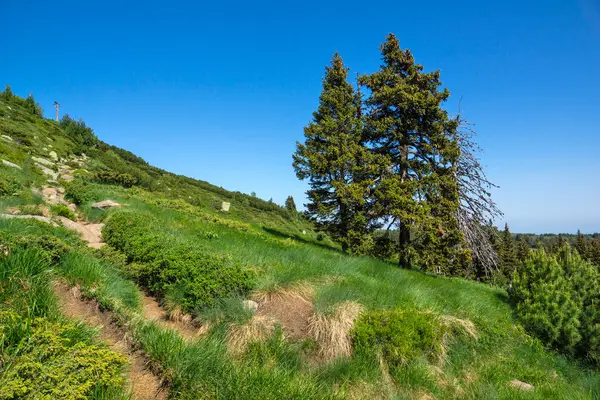 Bulgaristan 'ın Vitosha Dağı' nın Muhteşem Bahar Panoraması