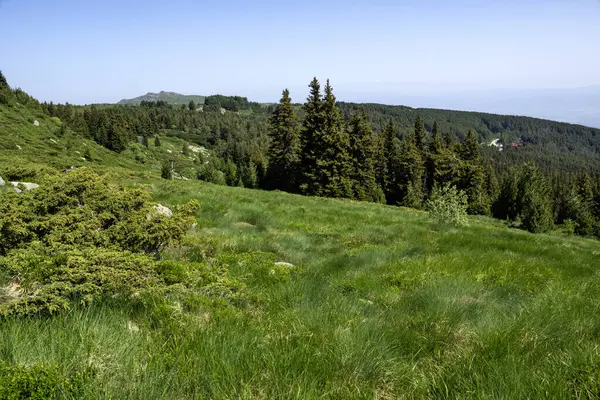 Bulgaristan 'ın Vitosha Dağı' nın Muhteşem Bahar Panoraması