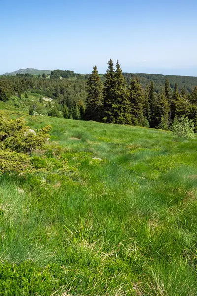 Bulgaristan 'ın Vitosha Dağı' nın Muhteşem Bahar Panoraması