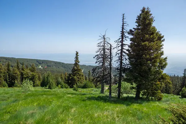 Bulgaristan 'ın Vitosha Dağı' nın Muhteşem Bahar Panoraması