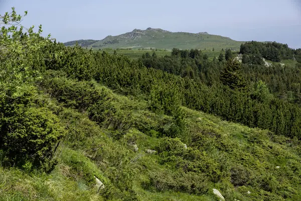 Bulgaristan 'ın Vitosha Dağı' nın Muhteşem Bahar Panoraması