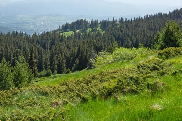 Bulgaristan 'ın Vitosha Dağı' nın Muhteşem Bahar Panoraması