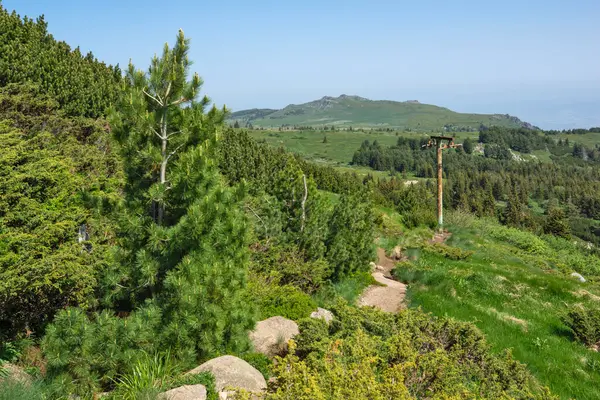 Bulgaristan 'ın Vitosha Dağı' nın Muhteşem Bahar Panoraması
