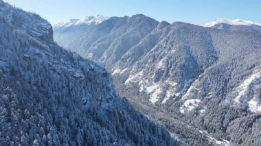 Bulgaristan 'ın Sofya Bölgesi Beli Iskar köyü yakınlarındaki Rila Dağı' nın kış manzarası