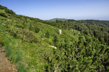 Bulgaristan 'ın Vitosha Dağı' nın Muhteşem Bahar Panoraması