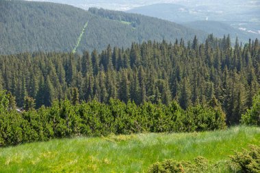 Bulgaristan 'ın Vitosha Dağı' nın Muhteşem Bahar Panoraması